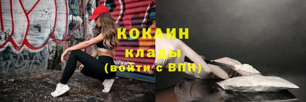 МДПВ Осинники