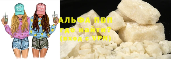 ГАЛЛЮЦИНОГЕННЫЕ ГРИБЫ Галич