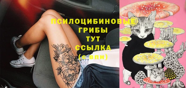 первитин Осташков
