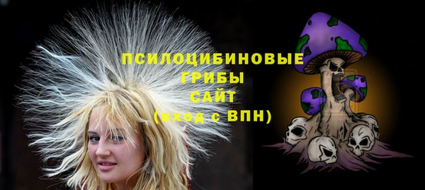МДПВ Осинники