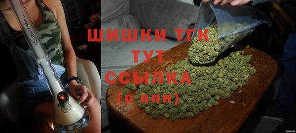 МДПВ Осинники